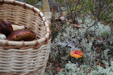 Similar image 21649039