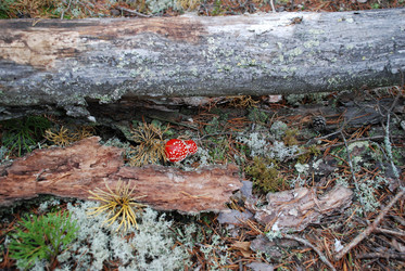 Similar image 21649040