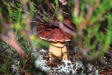 Similar image 21649041