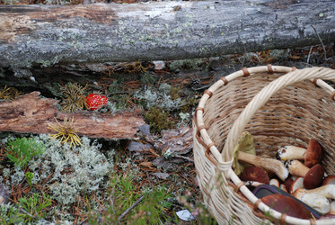 Similar image 21649043