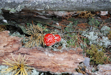 Similar image 21649044