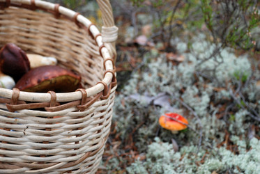 Similar image 21649045