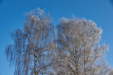 Similar image 21648320