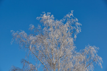 Similar image 21648321