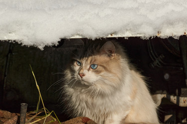 Similar image 21648322