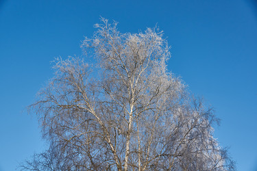 Similar image 21648323