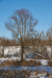 Similar image 21648324