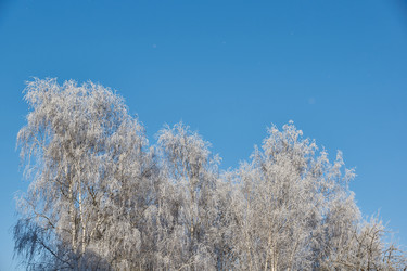 Similar image 21648327