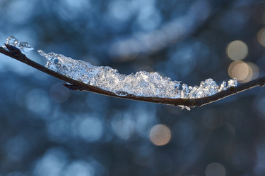 Similar image 21648328