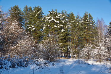 Similar image 21648356