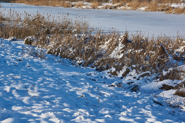 Similar image 21648358