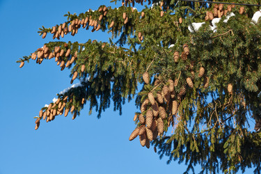 Similar image 21648360