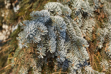 Similar image 21648361