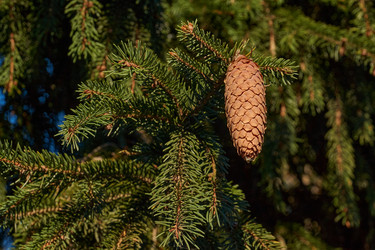 Similar image 21648445