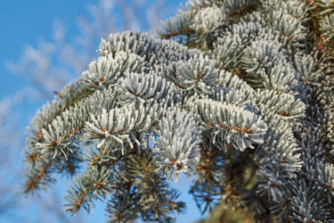 Similar image 21648446