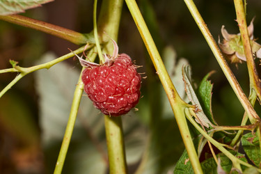 Similar image 21648148