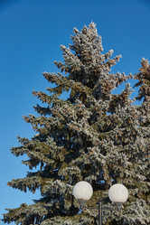 Similar image 21648151