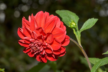 Similar image 21648152