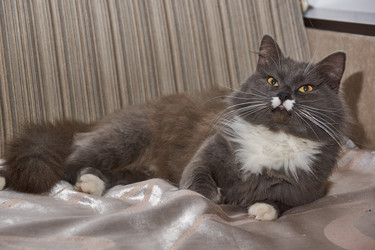 Similar image 21648202