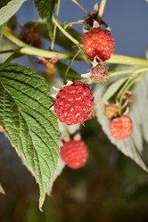 Similar image 21648203