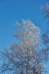 Similar image 21648204