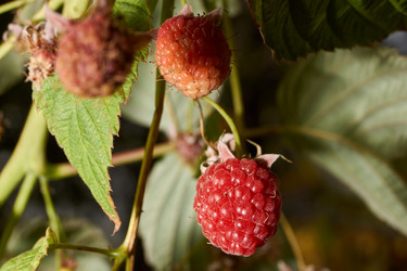 Similar image 21648205