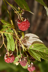 Similar image 21648206