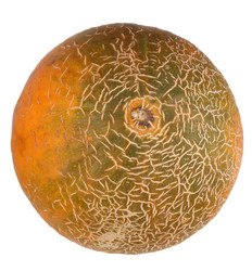 Similar image 21650628