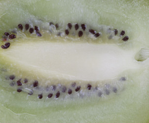 Similar image 21650630