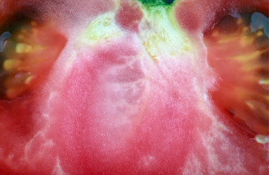 Similar image 21650644