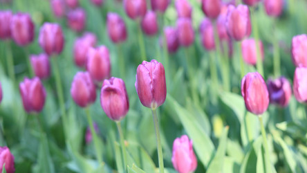 Similar image 21650659