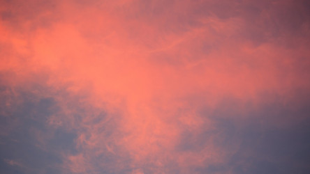 Similar image 21650991