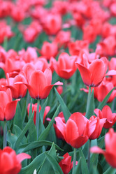 Similar image 21650993