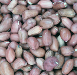 Similar image 21651004