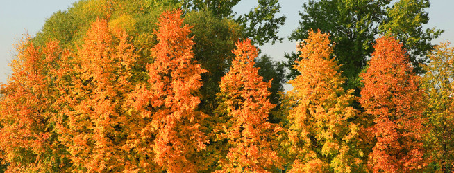 Similar image 21651008