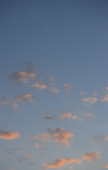 Similar image 21651010