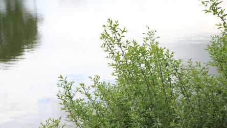 Similar image 21651018