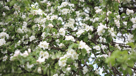 Similar image 21651022