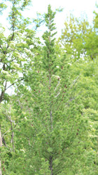 Similar image 21651029