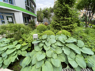 Similar image 21651032