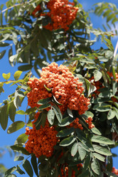 Similar image 21651034