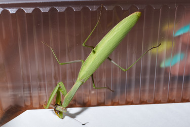 Similar image 21648330