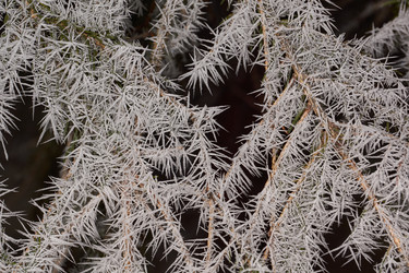 Similar image 21648331