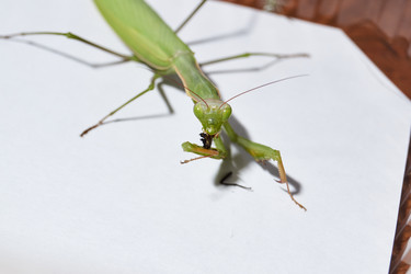 Similar image 21648332