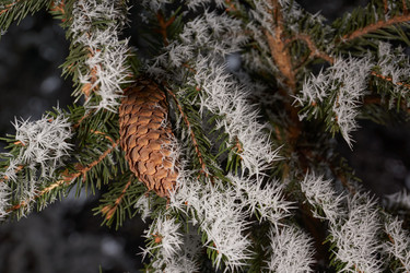 Similar image 21647798