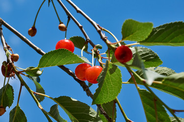 Similar image 21647800