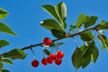 Similar image 21648448