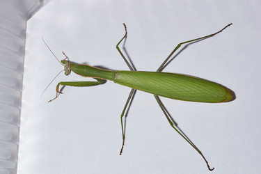 Similar image 21647801