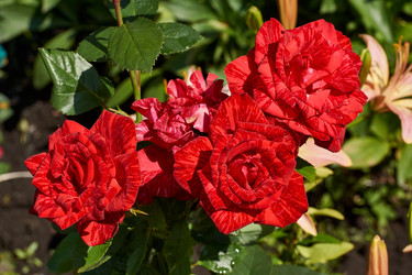 Similar image 21648155