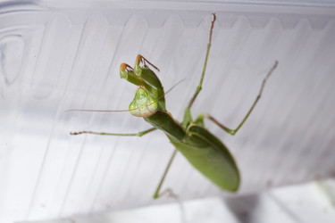 Similar image 21648157